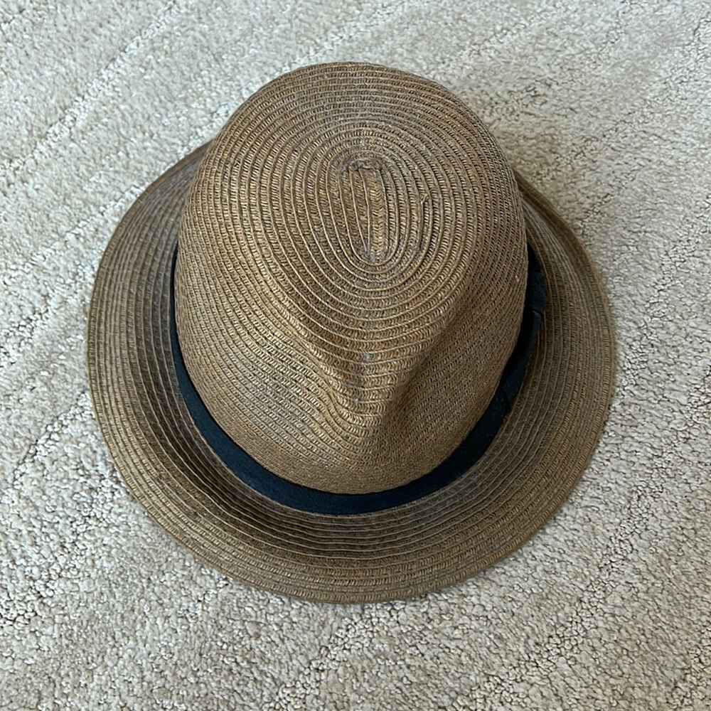 Aritzia Talula | Brown Straw Hat